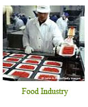 food-industry