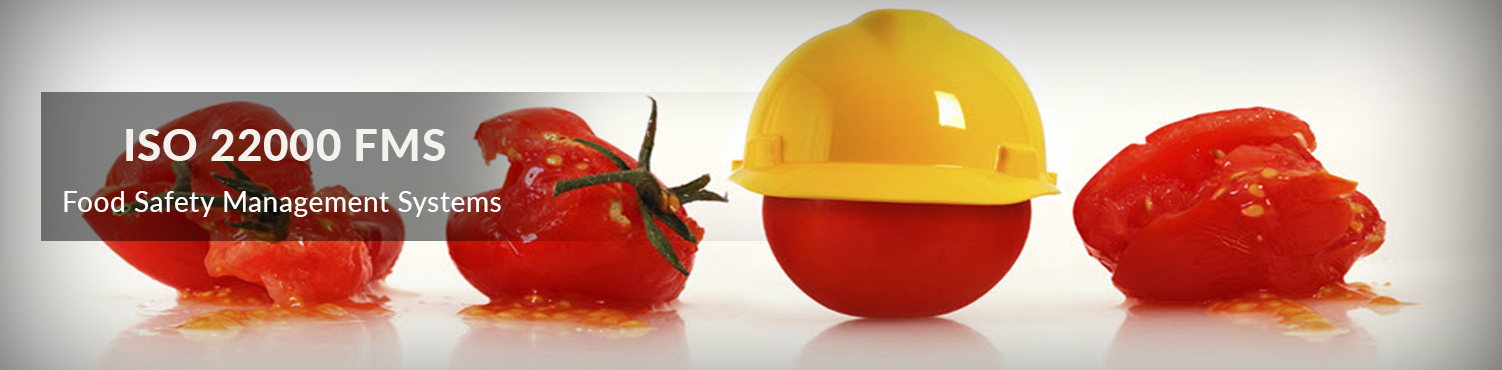 iso 22000 Consultancy, iso 22000 certification, iso 22000 certification consultants, iso 22000 consultancy, iso 22000 india